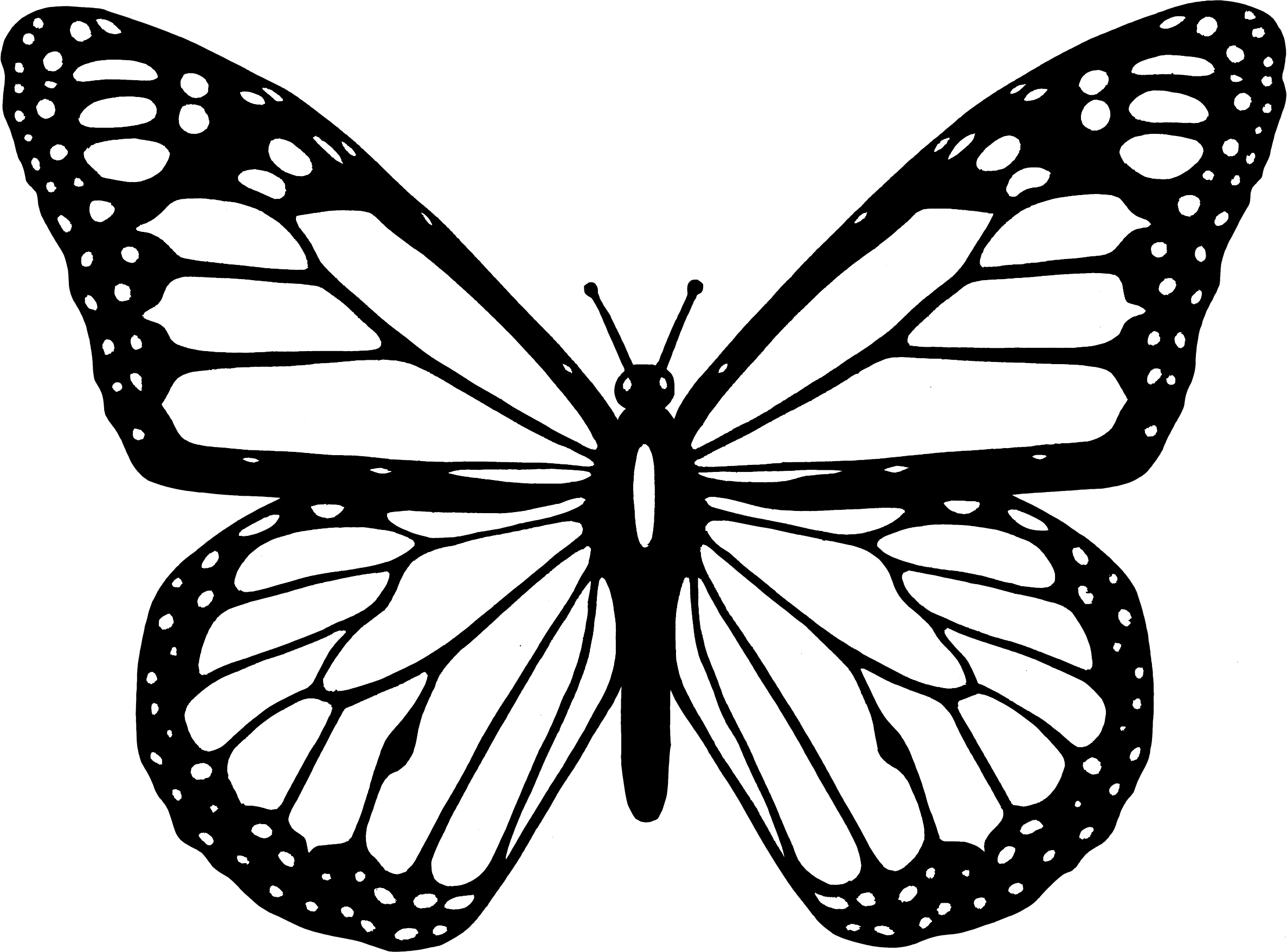 Big Image - Monarch Butterfly Coloring Page (2374x1757)