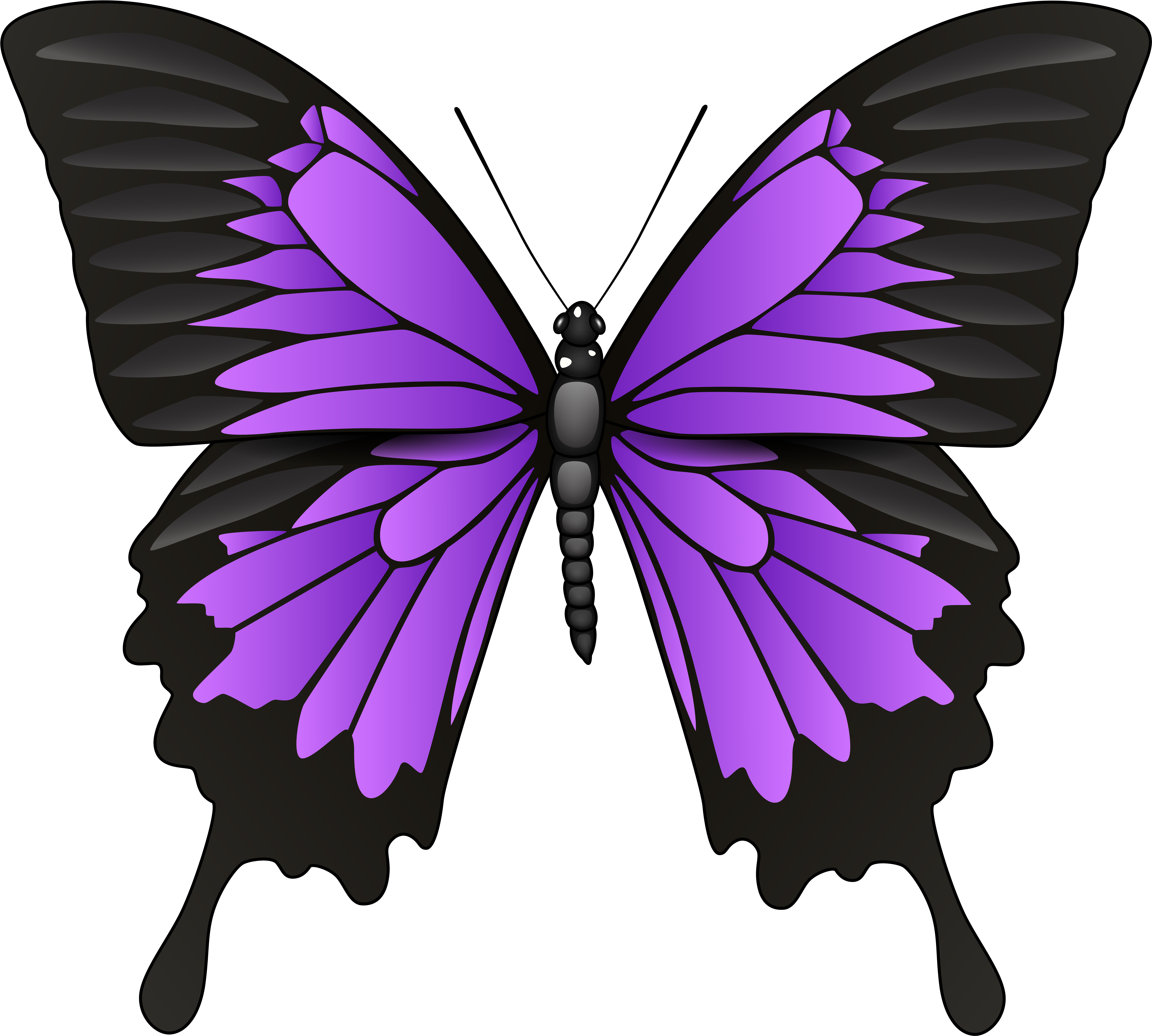 Purple Butterfly Png Clip Art - Purple Butterfly Png Clip Art (8000x7224)