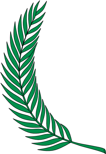 Jungle Plants Cliparts - Jungle Plant Clip Art (600x494)