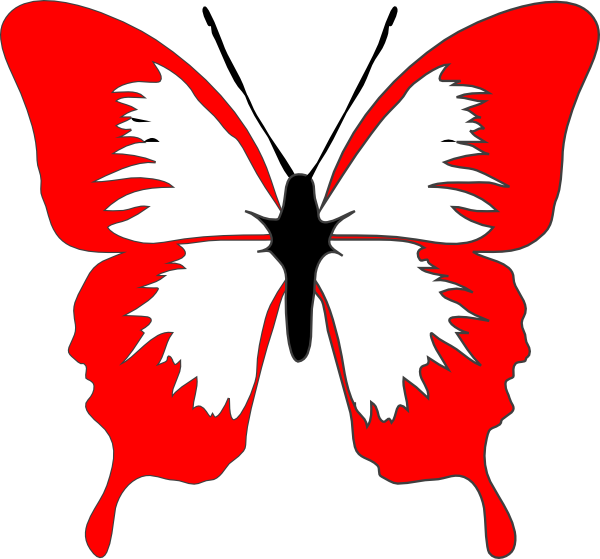 Butterfly Stencil (600x559)