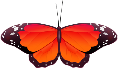 Red Butterfly Clip Art - Red Butterfly (500x294)