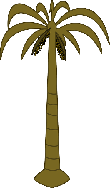 Black, Outline, Drawing, Silhouette, Palm, Tree, White - Palm Tree Clip Art (374x640)