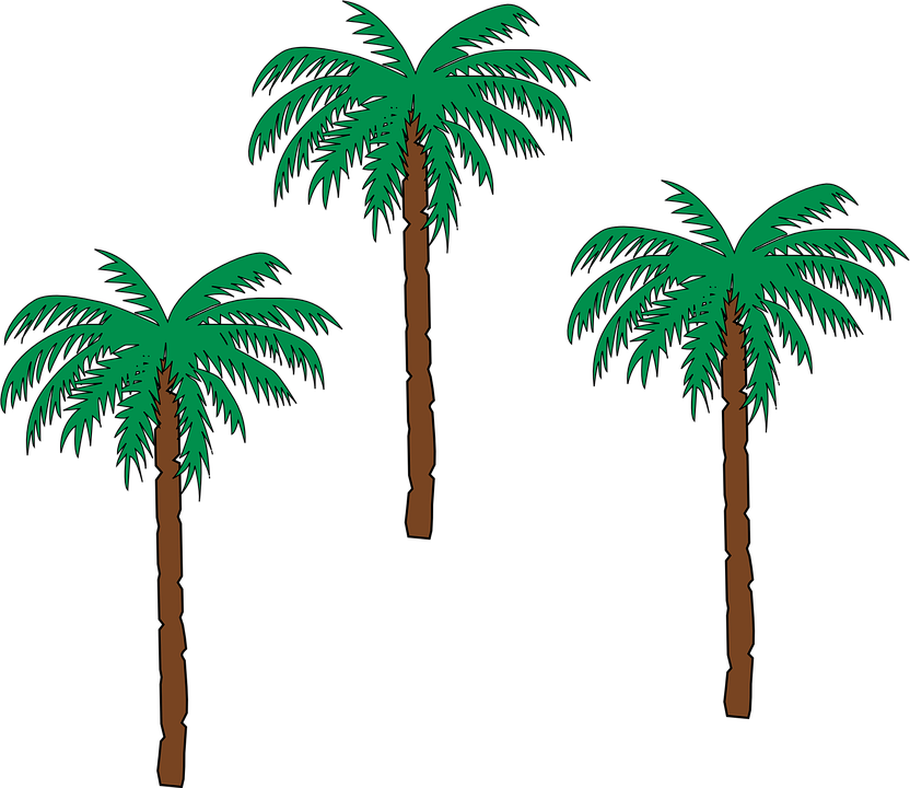 Palm Tree Clipart Pohon - Haiti Coat Of Arms (832x720)