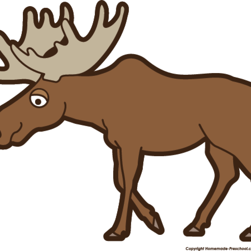 Moose Clipart Top 75 Moose Clip Art Free Clipart Image - Clip Art Of A Moose (1024x1024)