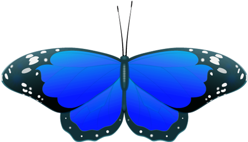 Blue Butterfly Clipart - Clipart Blue Butterfly (500x294)