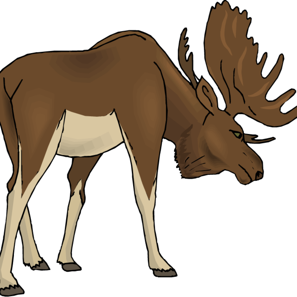 Free Moose Clipart Moose Clipart Cartoon Free Clipart - Free Clipart Moose (1024x1024)