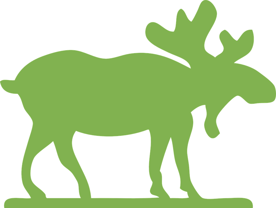 Moose Clip Art (953x720)