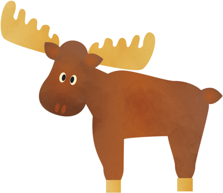 Moose - Clip Art (800x691)
