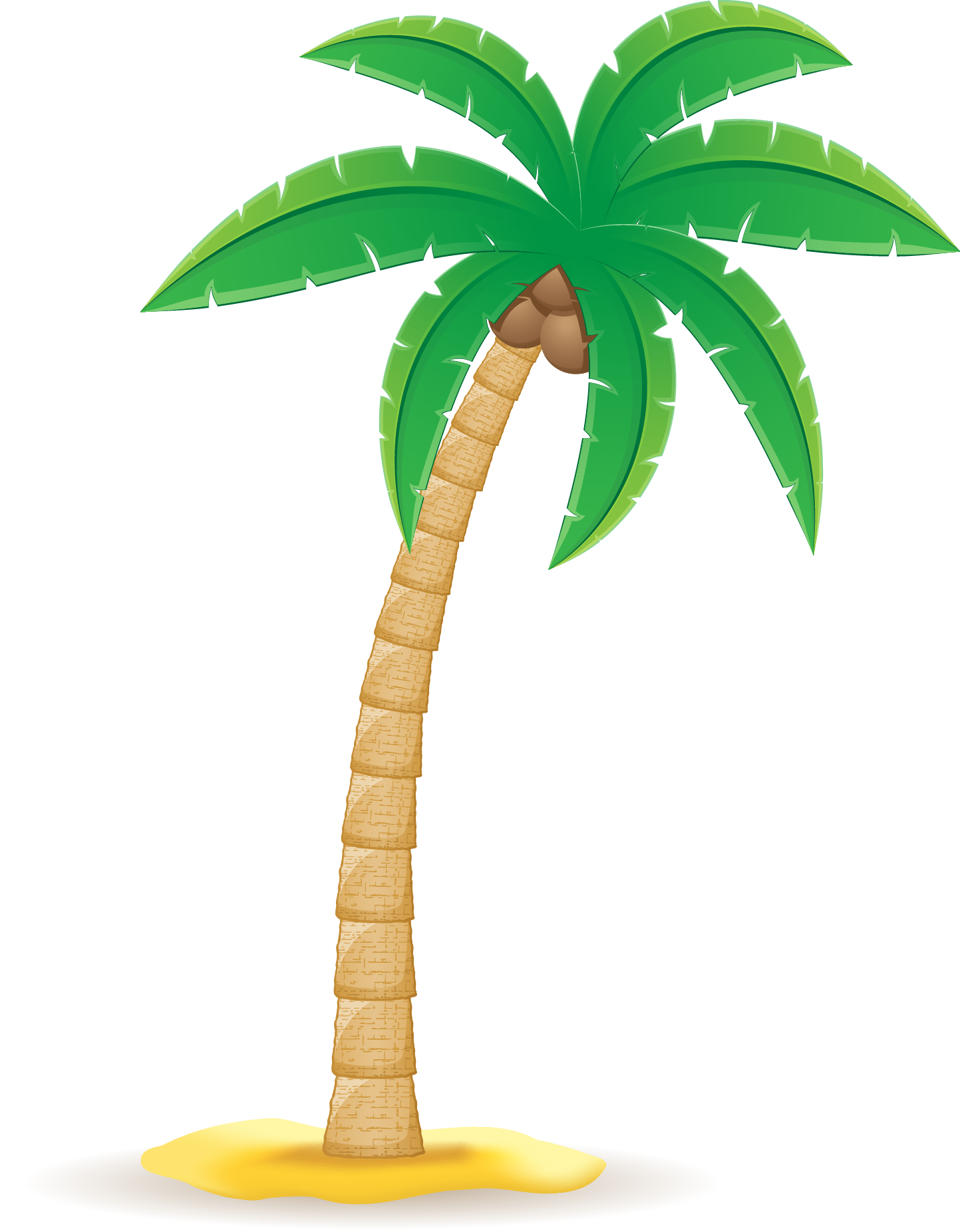 Coconut Arecaceae Clip Art - Coqueiro Desenho Png (1443x1853)