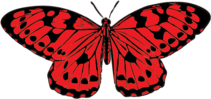 Black Red Butterfly Clip Art Png Clipart - Red And Black Butterfly (709x469)