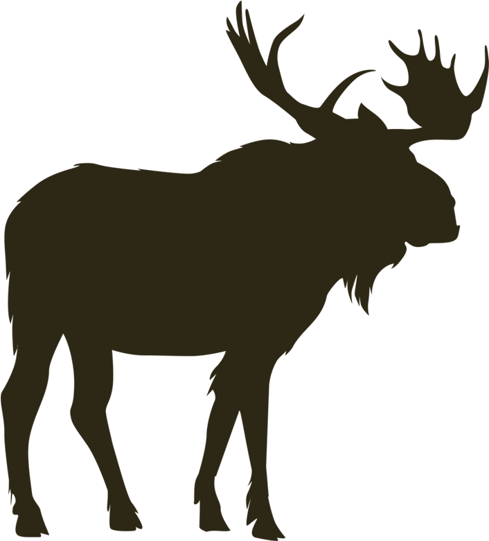 Mountain Goat - Canadian Moose Png (800x800)