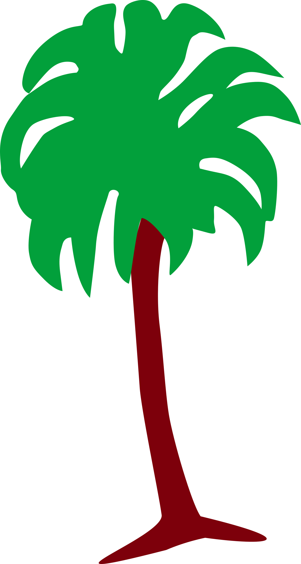 Palm Tree 3 - Tree (1281x2400)