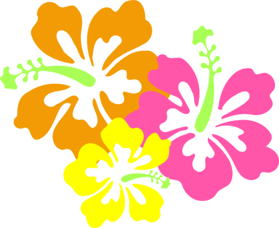 Hawaiian Luau Clip Art Border Clipart Free To Use Clip - Hibiscus Clip Art (570x466)