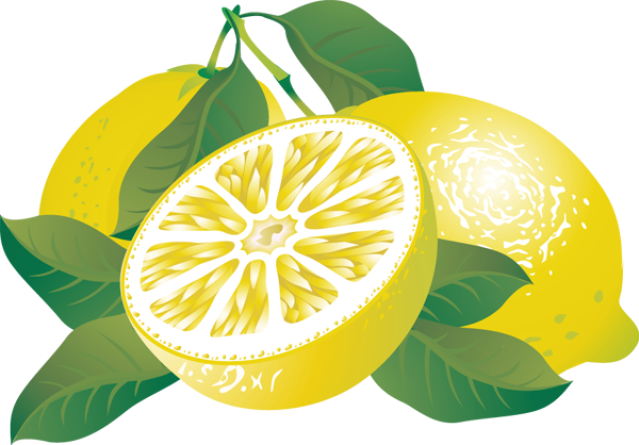 Lemon Clip Art Free Clipart Images 2 - Citrus Clipart (639x445)