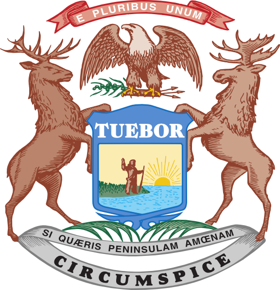 Tuv - Secretary Of State Of Michigan (576x595)