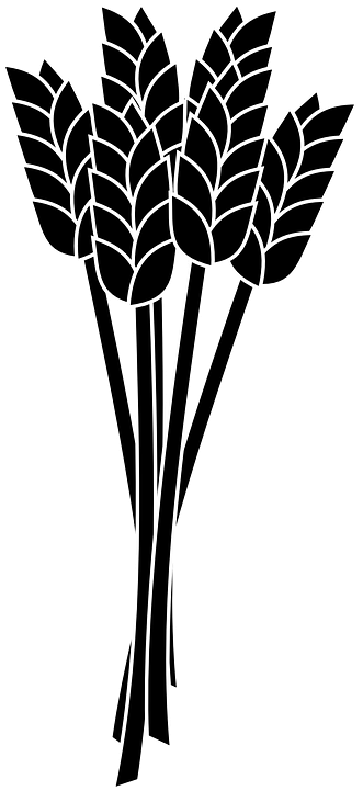 Wheat Clipart Wheat Leave - Wheat Black And White Clip Art (381x720)