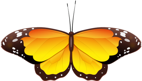 Yellow Butterfly Clip Art - Blue And Orange Butterfly Clipart (500x294)