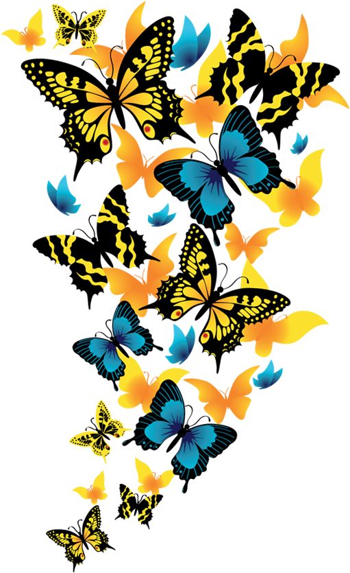 Butterflies Clipart Picture - Png Format Butterfly Png Background (572x898)