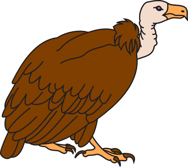 Clipart Image Of Vulture (600x531)