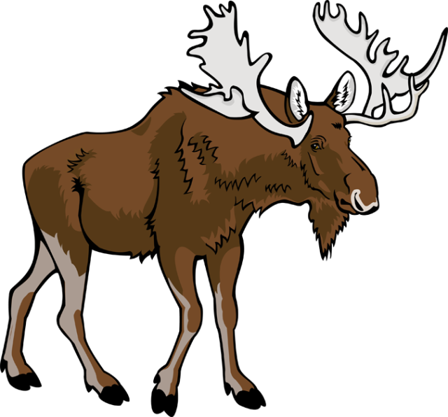 Moose Clipart Free Download Clip Art On - Free Clip Art Moose (640x596)