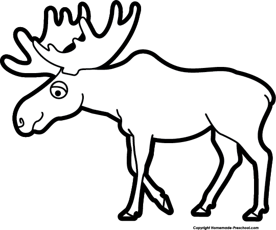 Image Of Moose Clipart 9 Clip Art Images Free For - Moose Black And White (540x450)