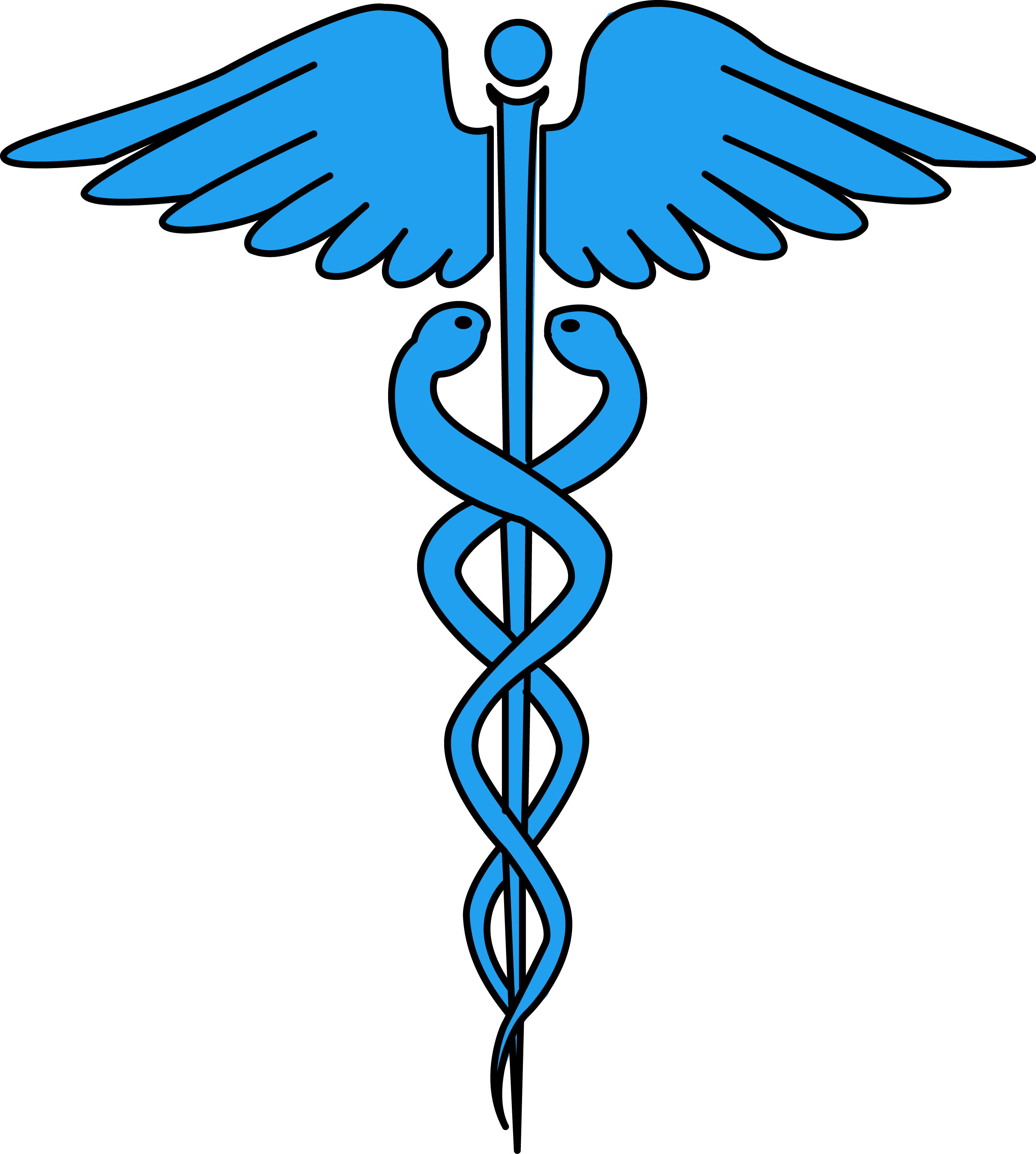 Image For Free Caduceus Medical Symbol Health High - Caduceus Medical Symbol (2528x2815)