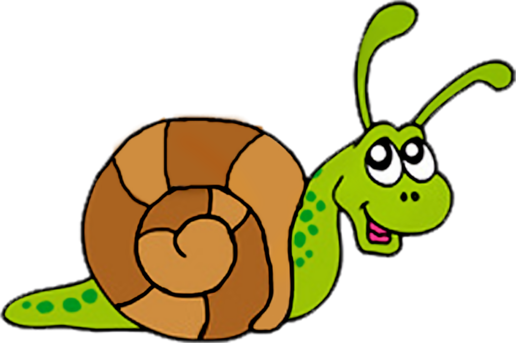 Pta Meeting Clip Art Additionally Snail Clip Art Free - Clip Art Picture Of Snail (1051x700)