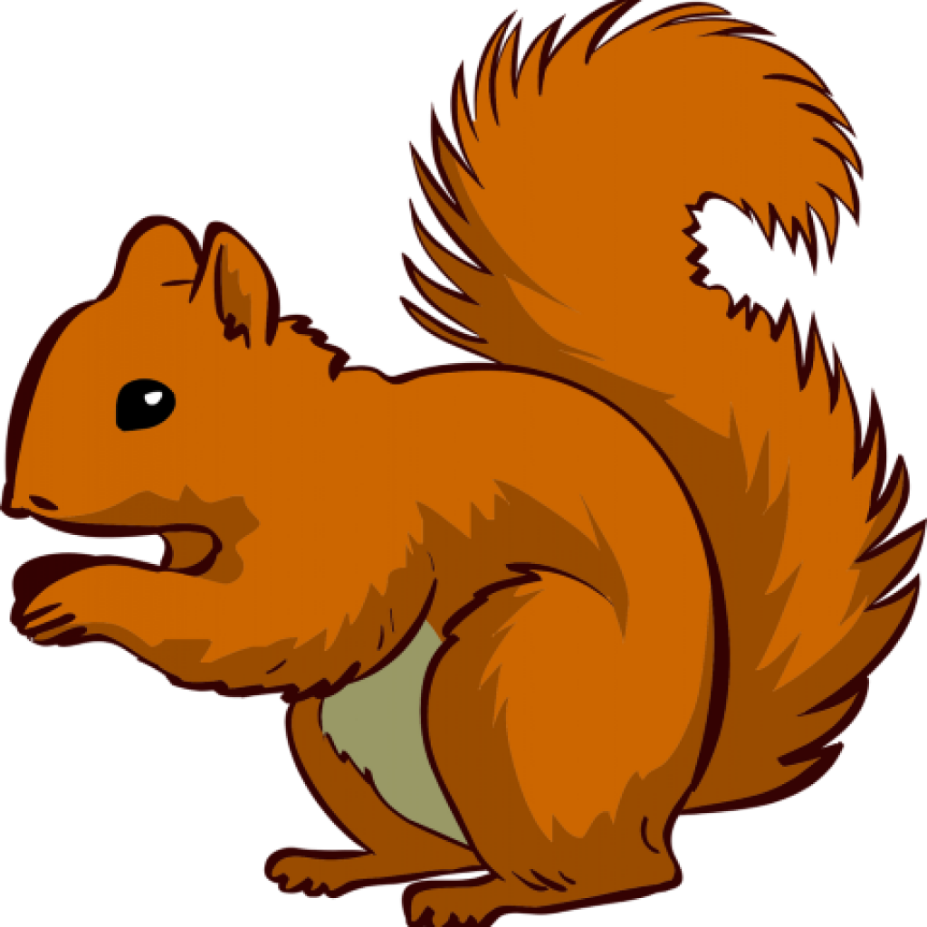 Squirrel Clipart Squirrel Clip Art Squirrel Clipart - Squirrel Clipart (1024x1024)
