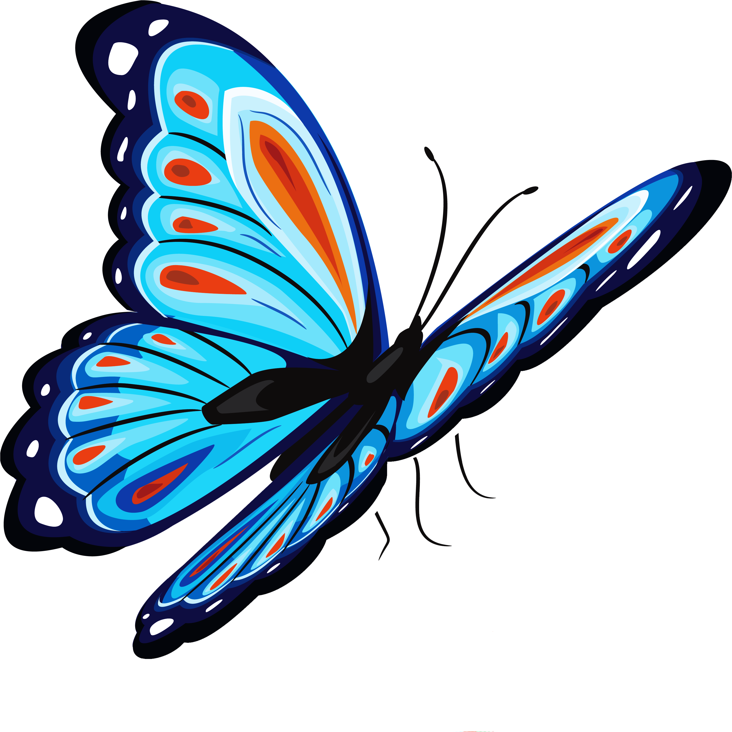 Download Blue Butterfly Png For Designing Projects - Png Butterfly (3804x3632)