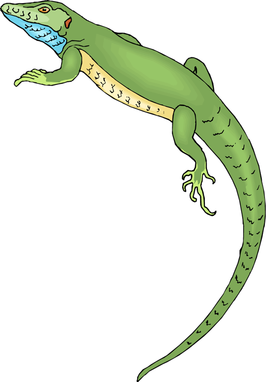 Lizard Clipart Cliparts And Others Art Inspiration - Lizard Clip Art Png (523x750)