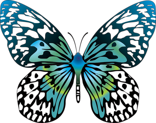 Butterfly Clip Art - Butterfly Cartoon (500x394)
