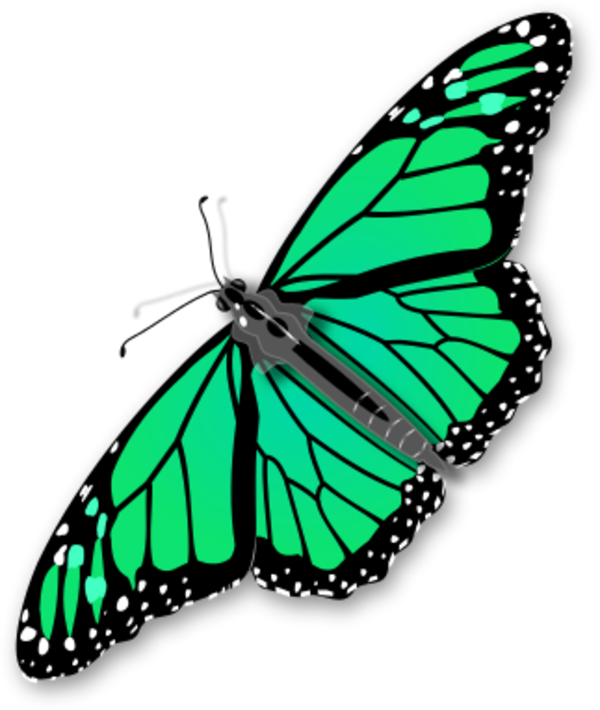 Monarch Butterfly Vector Clip Art - Monarch Butterfly Vector Clip Art (600x710)