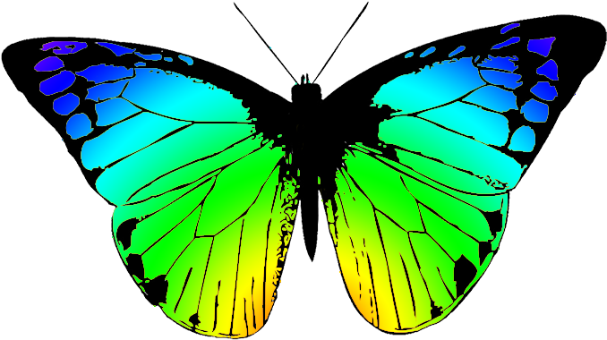Butterflies Butterfly Clipart - Butterfly Wing Black And White (709x496)