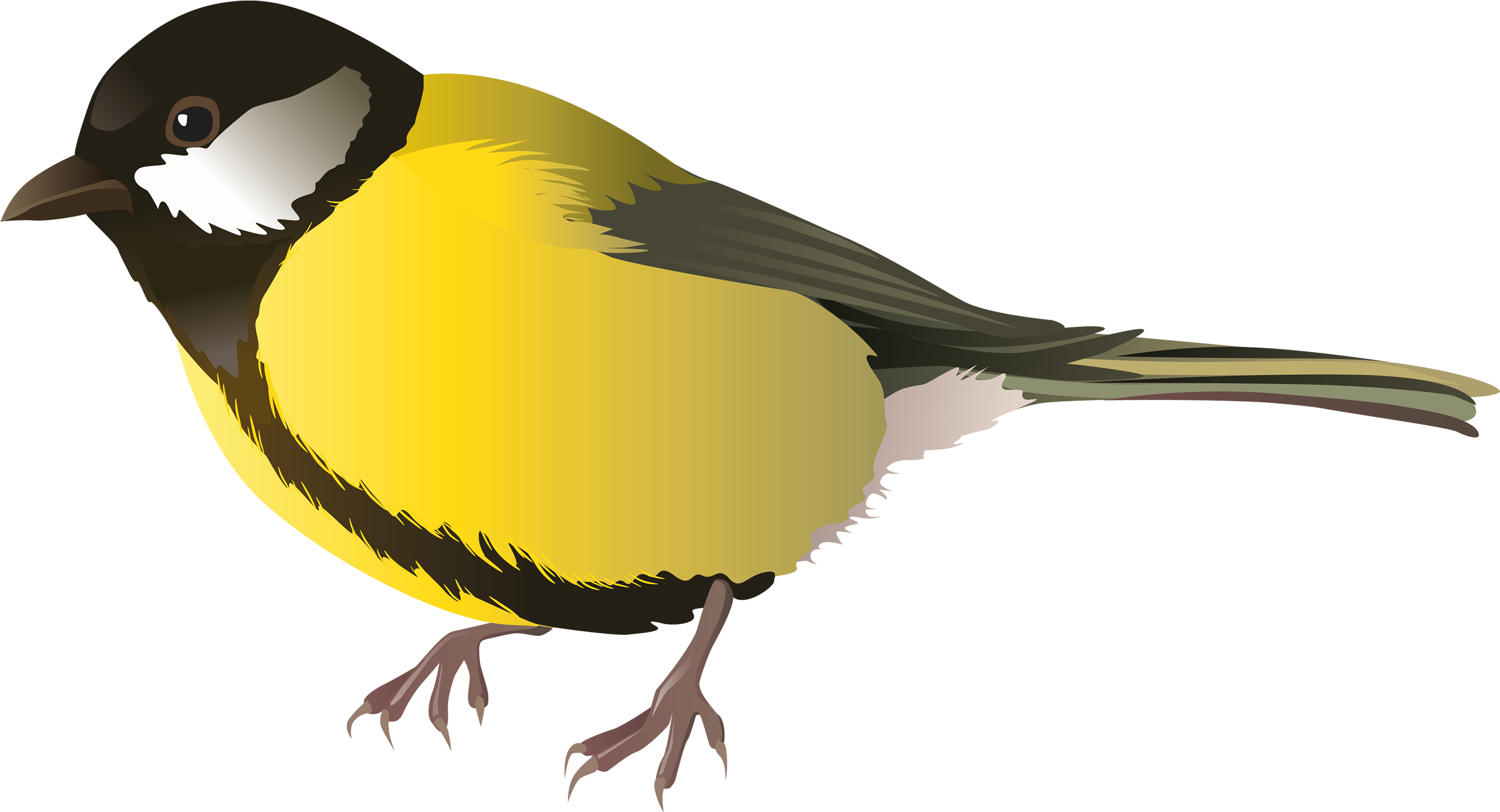 Yellow Bird Png Clipart - Png Birds (3000x1646)