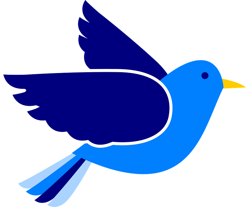 Clipart Bird Wings Large Pencil And In Color - Blue Bird Clipart (856x720)