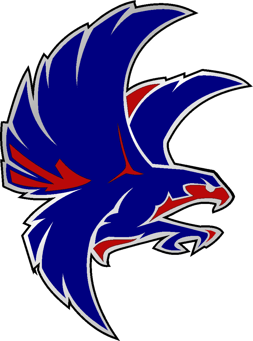 Falcon High School Football Logo Clipart - Nation Ford High School (839x1132)