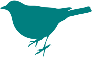 Teal Bird Silhouette Clip Art - Bird Silhouette Clip Art (700x525)