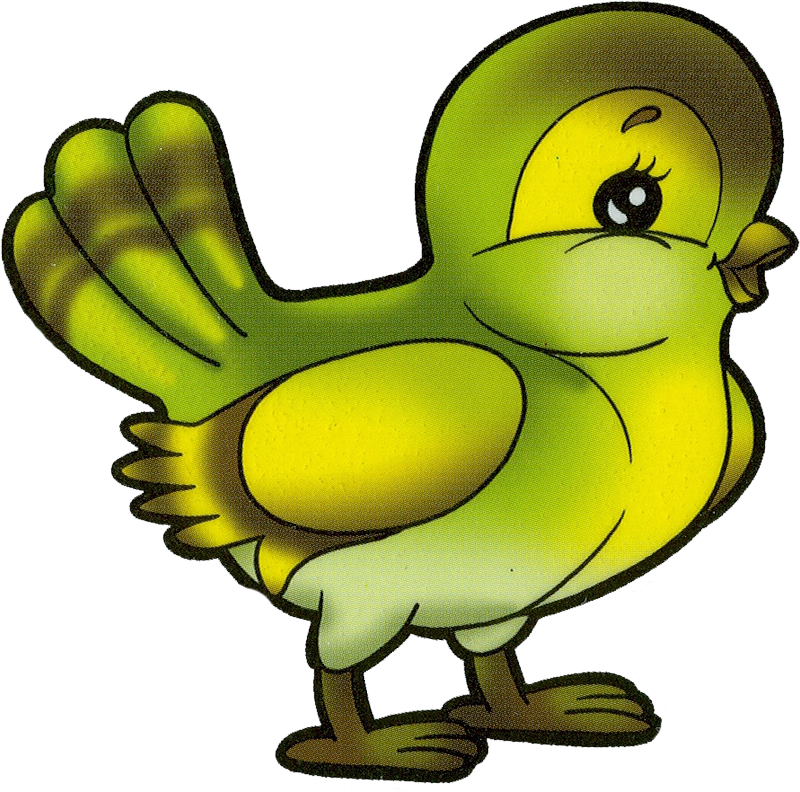 Patterns - Clip Art (800x792)