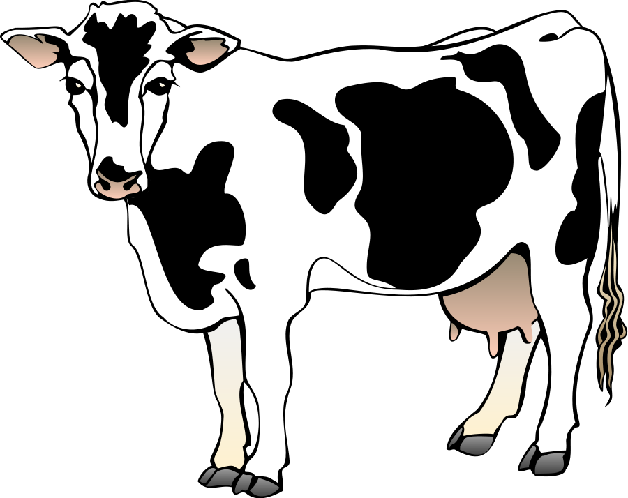 Cow Clip Art Images Free Clipart Images - Clipart Of A Cow (900x714)