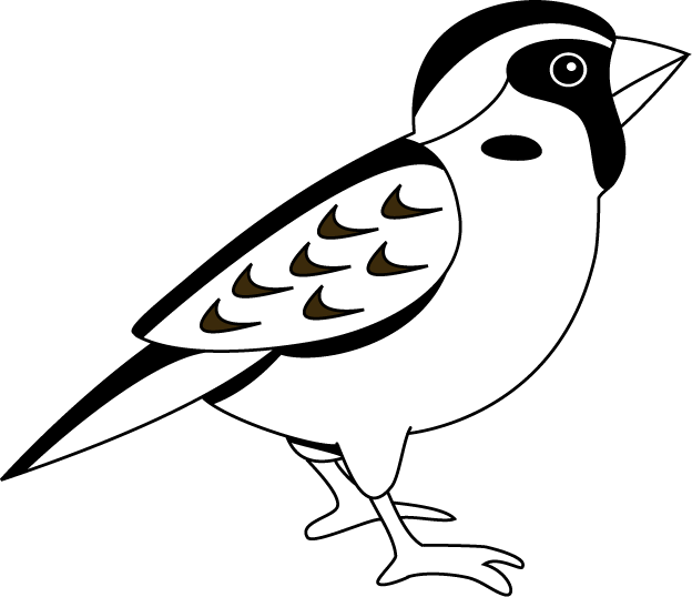 Black And White Sparrow Clipart - Black And White Image Of Sparrow (624x538)