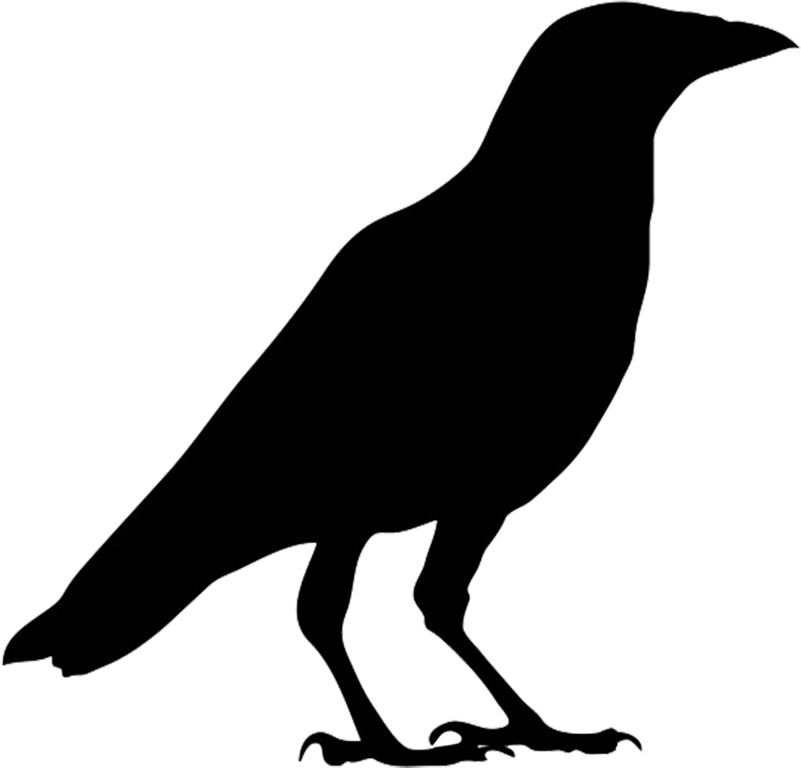 Crow Clipart Birds And Clip Art Photo Crowclipart Clipartbarn - Silhouette Crow (1169x1185)
