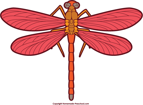 Dragonfly Clip Art Stock Images Free Clipart Images - Red Dragonfly Clipart (577x425)