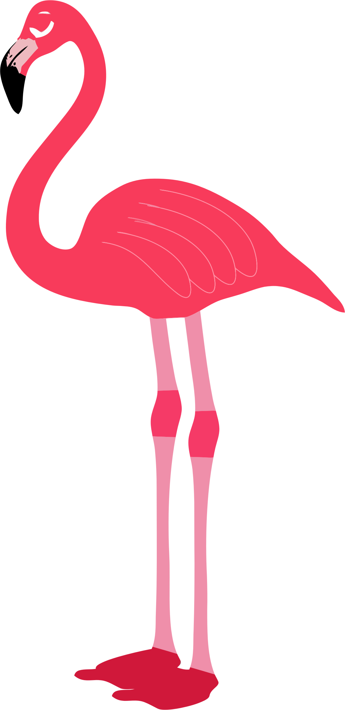 Flamingo Clip Art Free - Flamingo Transparent (1098x2256)