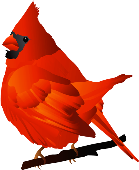Cardinal Bird Clip Art - Cardinal Clip Art (600x616)