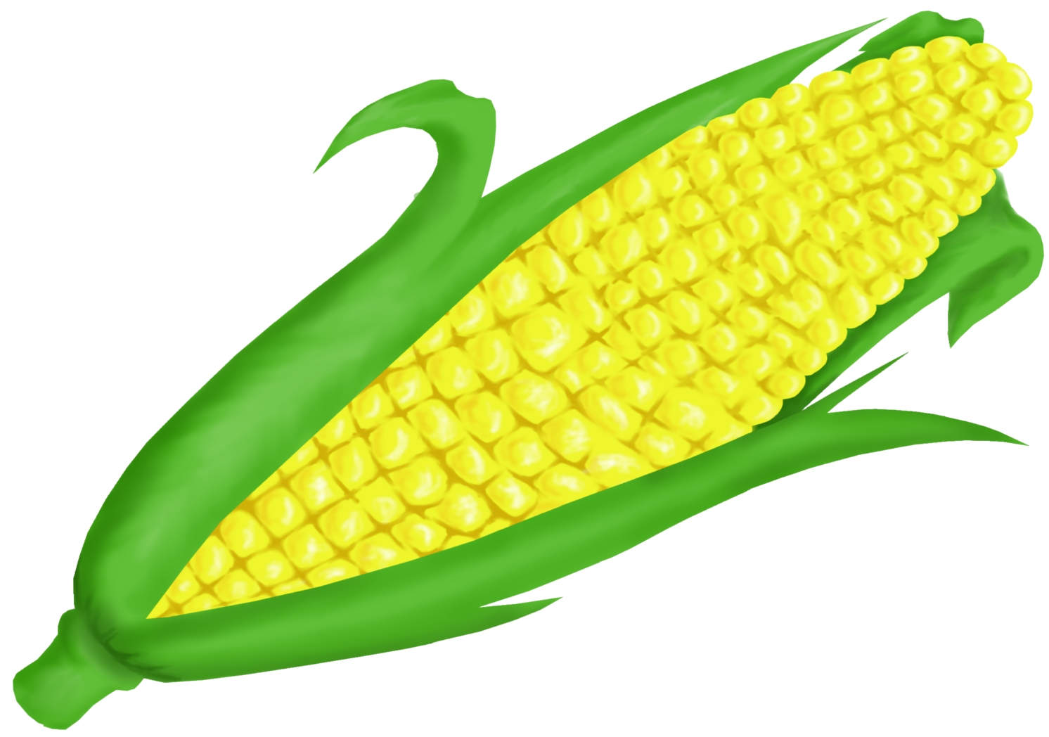 Corn Clipartrn Clip Art Vector Clip Art Clipartcow - Corn On The Cob Clip Art (1492x1048)