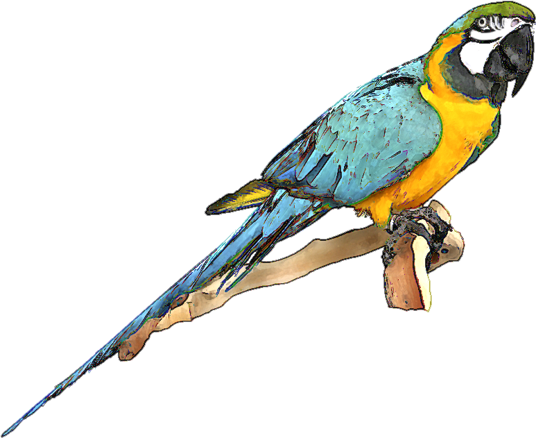 Blue Bird Clipart - Macaw Clip Art (904x750)
