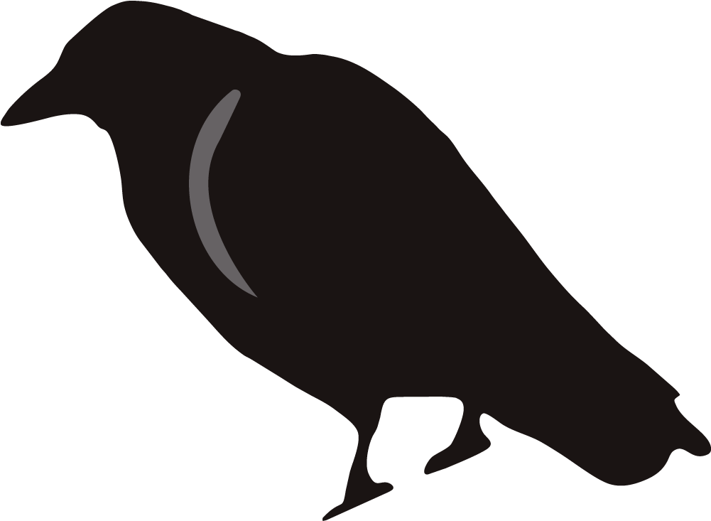 Crow Silhouette (1000x1000)