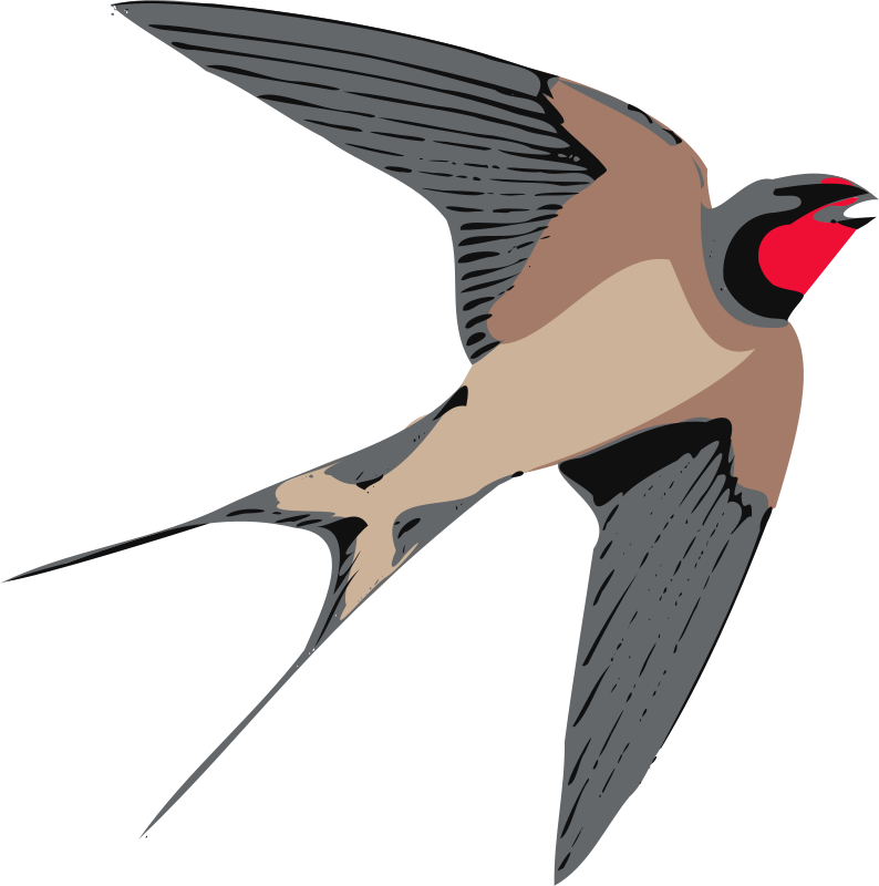 Free Tiger Clipart - Swallow Clipart (794x800)