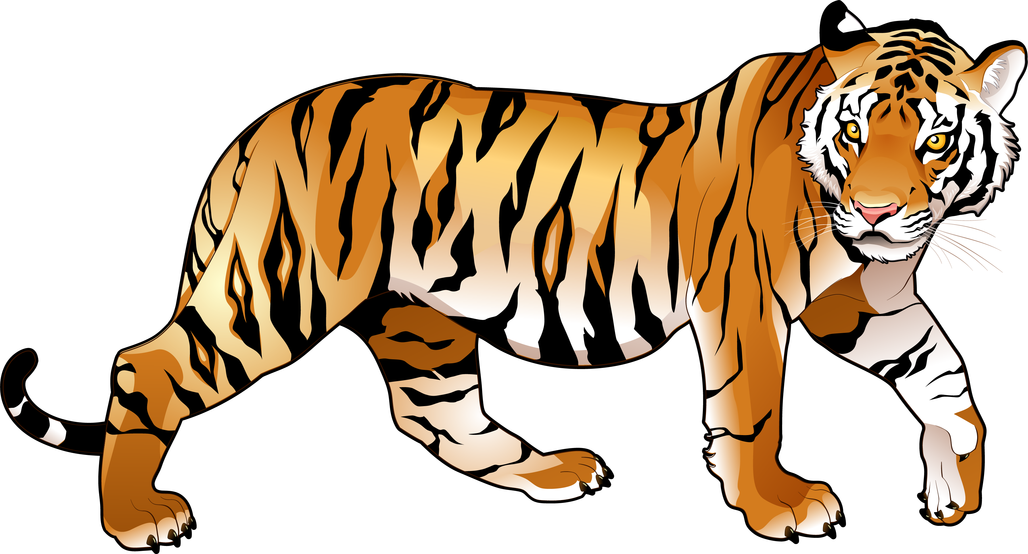Tiger Clipart Png - National Animal Of India - (3576x1929) Png Clipart  Download