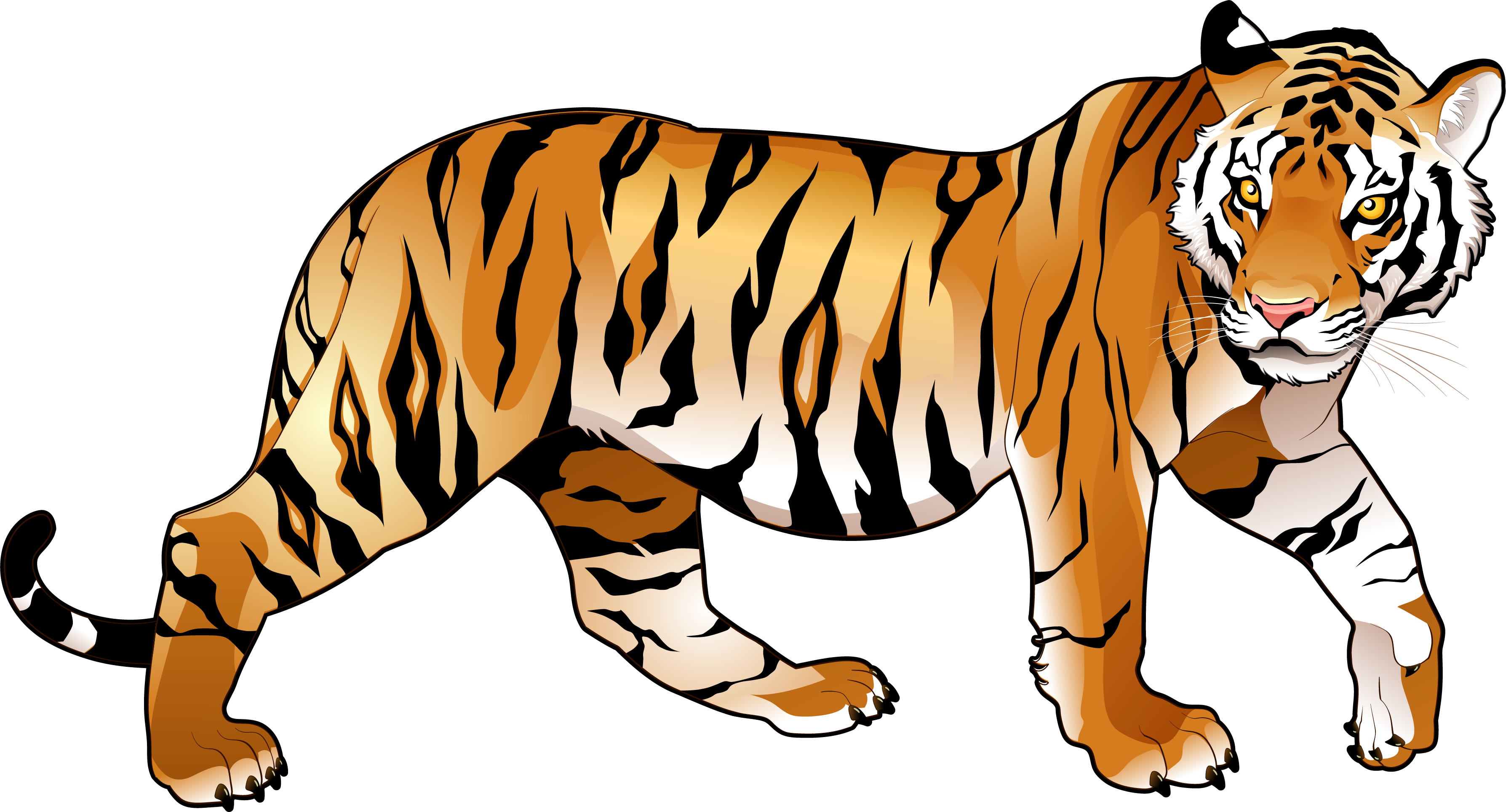 Tiger Clipart Png - National Animal Of India - (3576x1929) Png Clipart Download Tiger Clipart Png - National Animal Of India - (3576x1929) Png Clipart Download